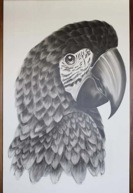 CUADRO CA 900 GUACAMAYA TROPICAL 01 PZ