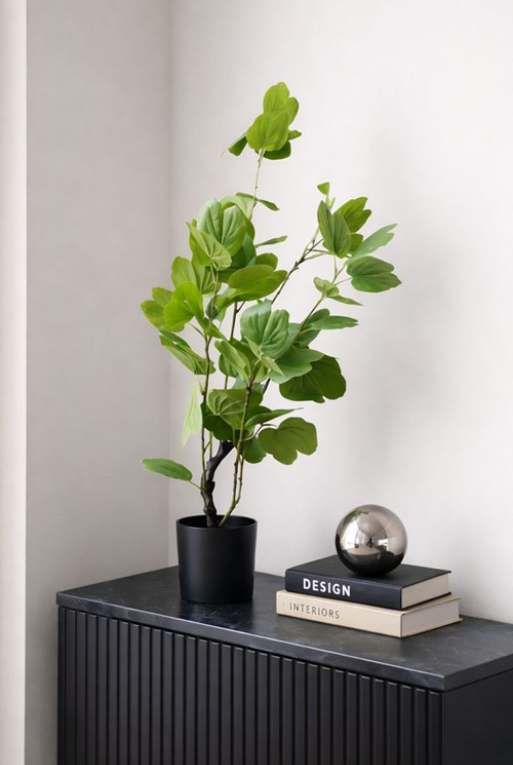 PLANTA DECORATIVA BAHU