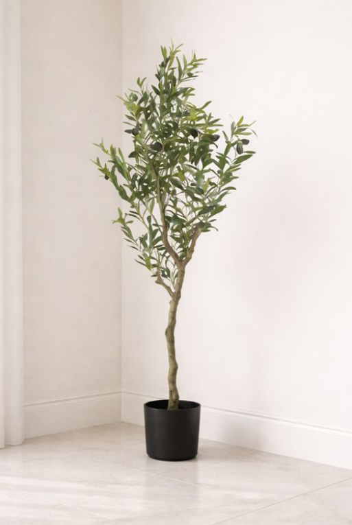 PLANTA DECORATIVA EREN