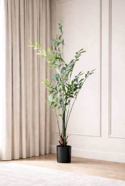 PLANTA DECORATIVA HADASS