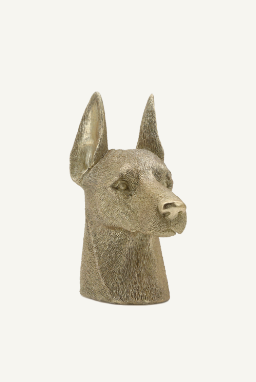 FIGURA VIONA